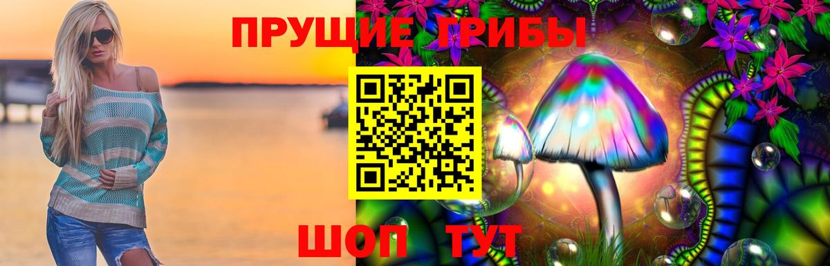 Фрязино  хочу   Псилоцибиновые грибы GOLDEN TEACHER  Вход с VPN  Псилоцибиновые грибы MAGIC MUSHROOMS 