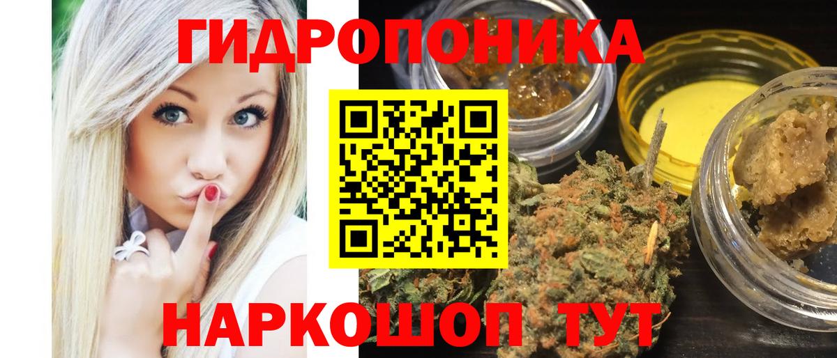 Конопля семена Фрязино